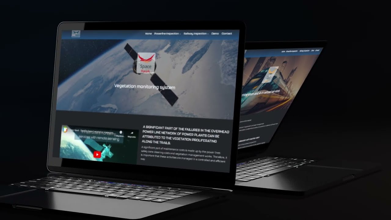 hawk system web design